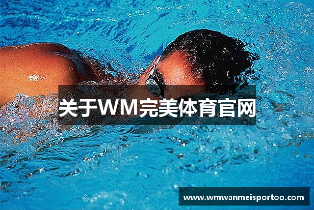 关于WM完美体育官网